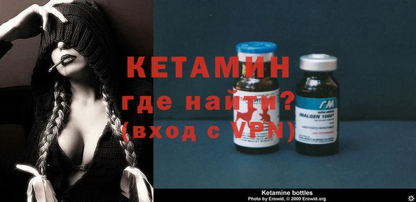 крисы Бородино