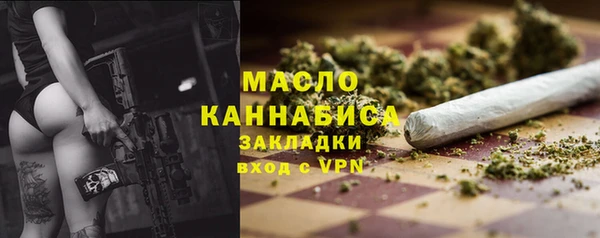 крисы Бородино