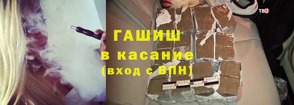 крисы Бородино