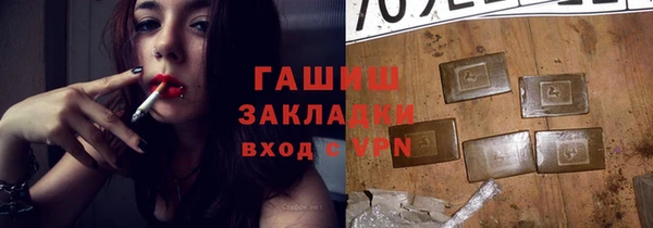 крисы Бородино