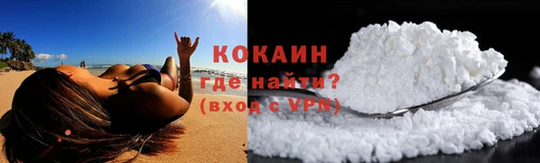 крисы Бородино