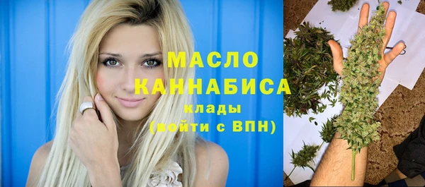крисы Бородино