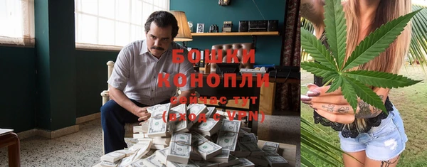 стаф Бугульма