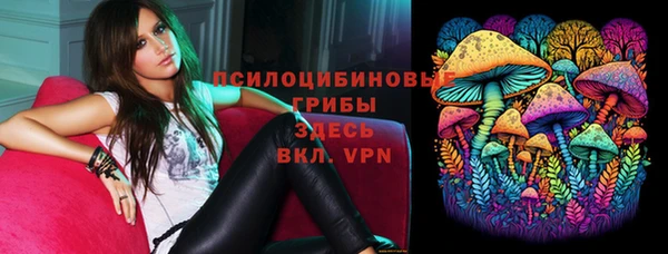 дживик Богородицк