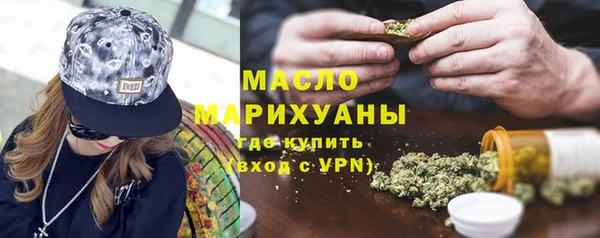 крисы Бородино