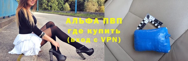 крисы Бородино