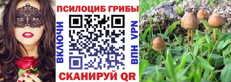 Галлюциногенные грибы MAGIC MUSHROOMS Междуреченск